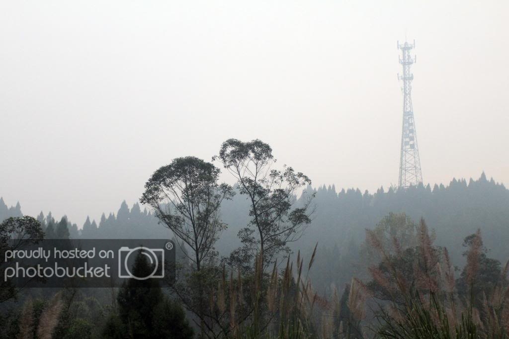 sIMG_7915.jpg