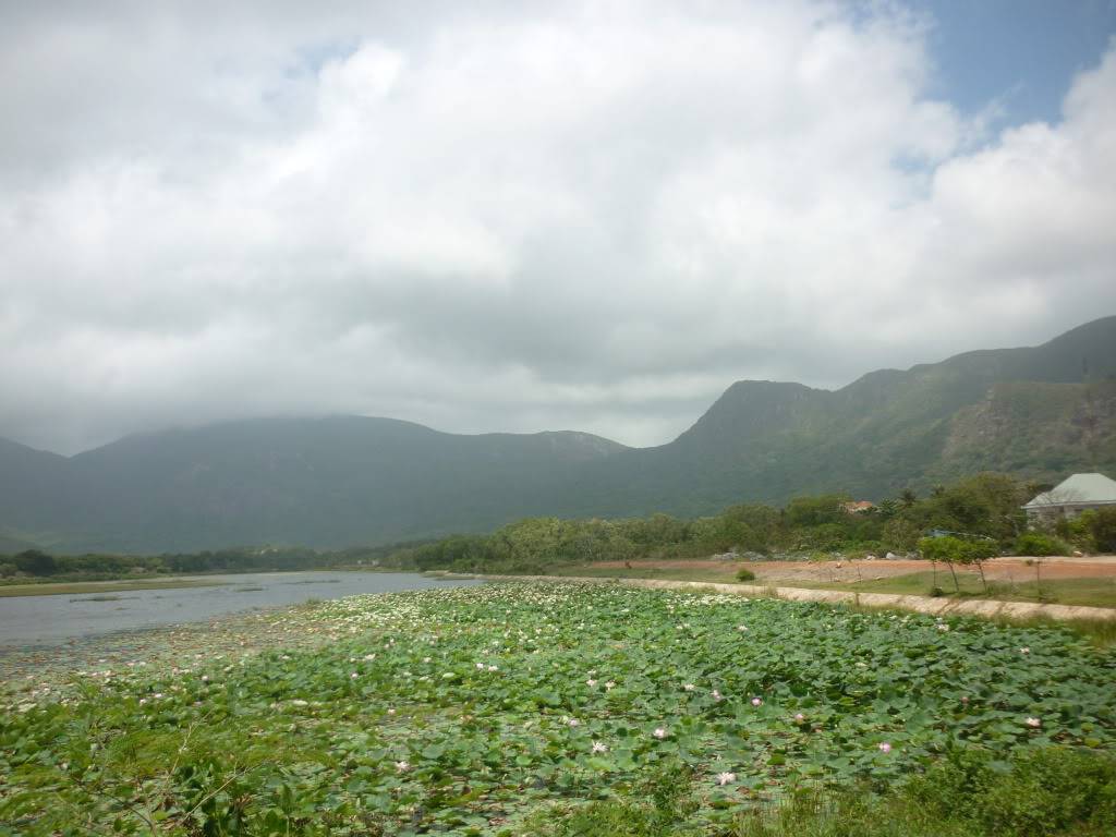 P1030009.jpg