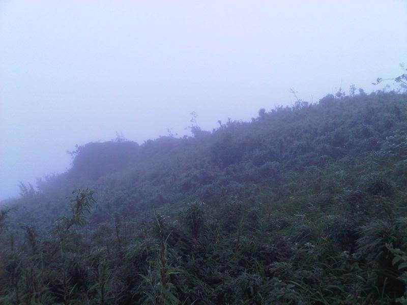 2011_573.jpg