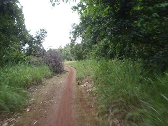 P8070114.jpg