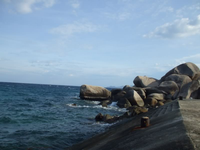DSCF7951800x600.jpg