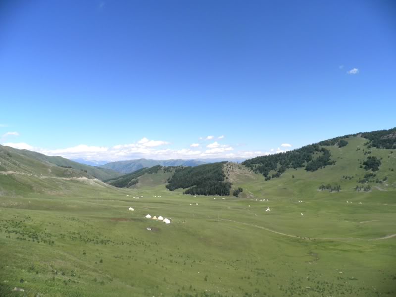 P7081241.jpg