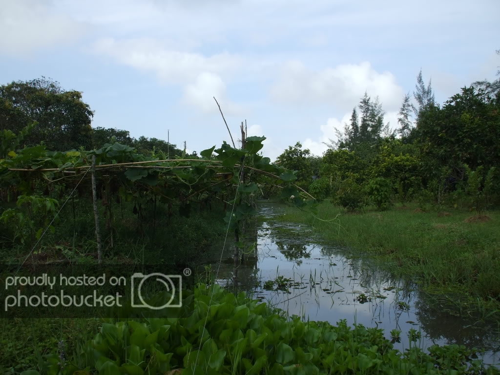 DSCF3725.jpg