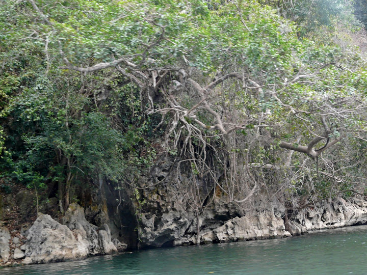 P1050600.JPG