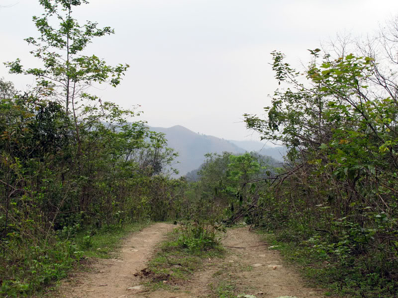 IMG_5690.jpg