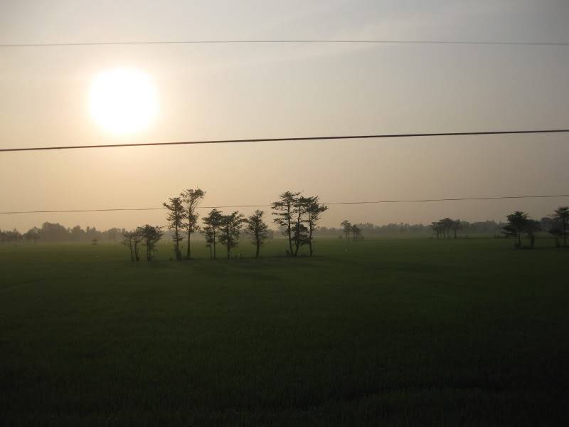 DongThapTET2011254.jpg