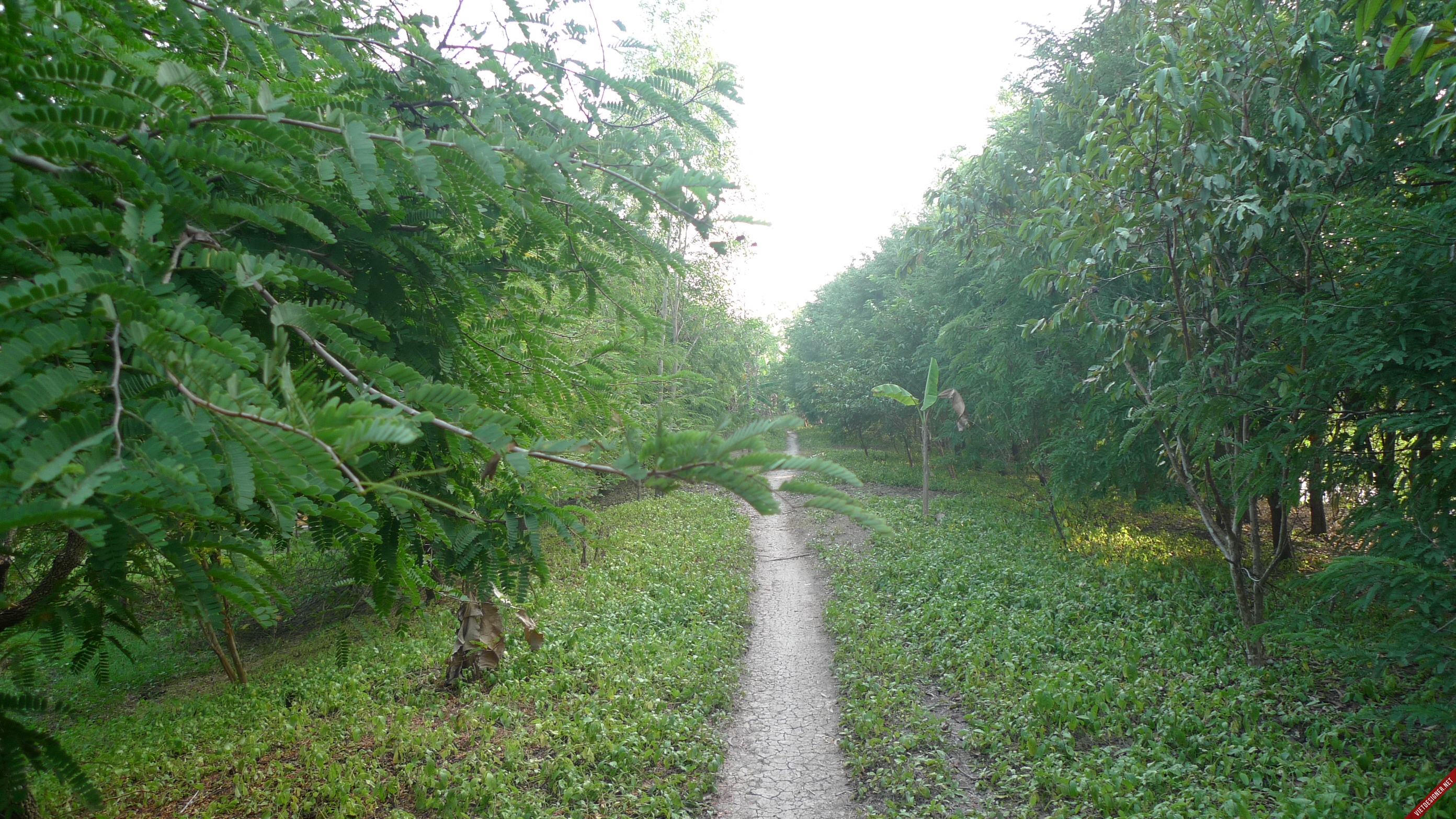 9iHXI39.jpg