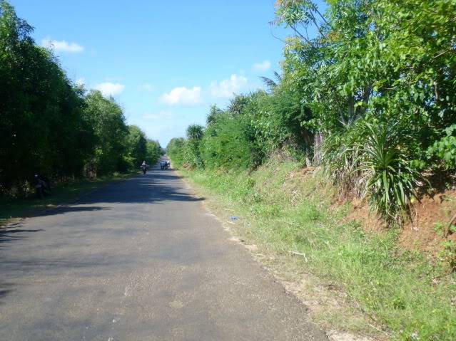 P1040320_resize.jpg