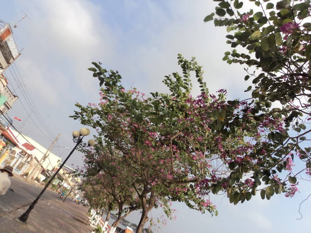 DSC03165.jpg