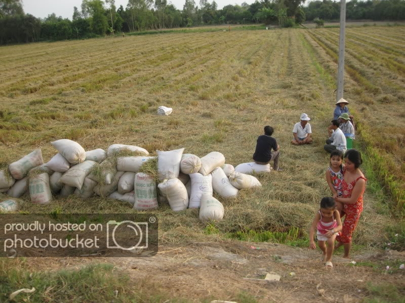 DongThapTET2011519.jpg