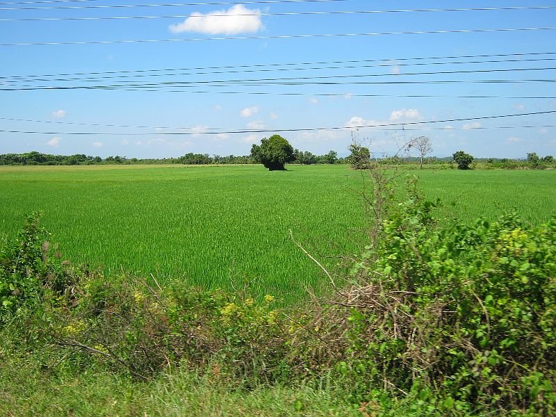 IMG_7778.jpg