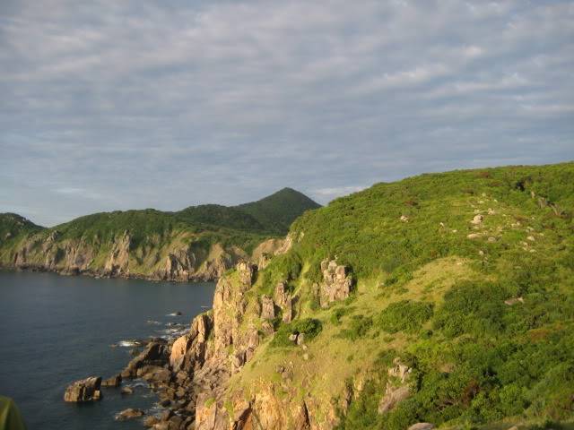 IMG_0248.jpg