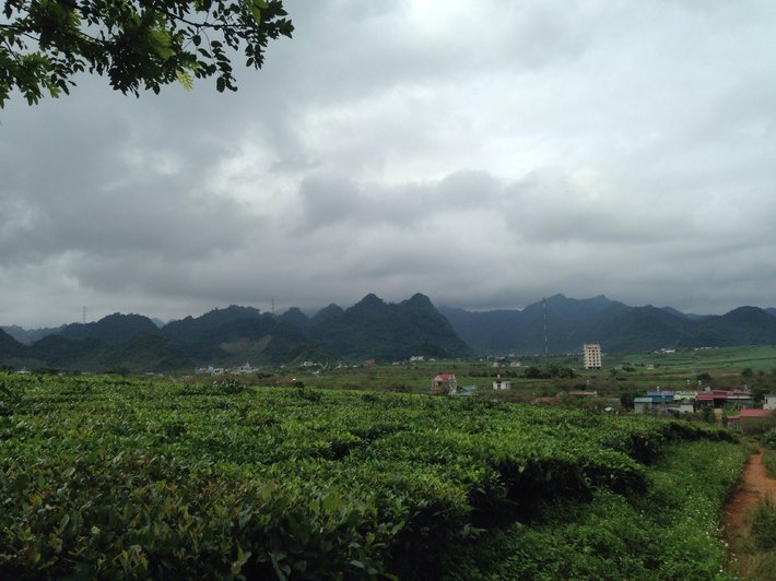 image-jpg.129403