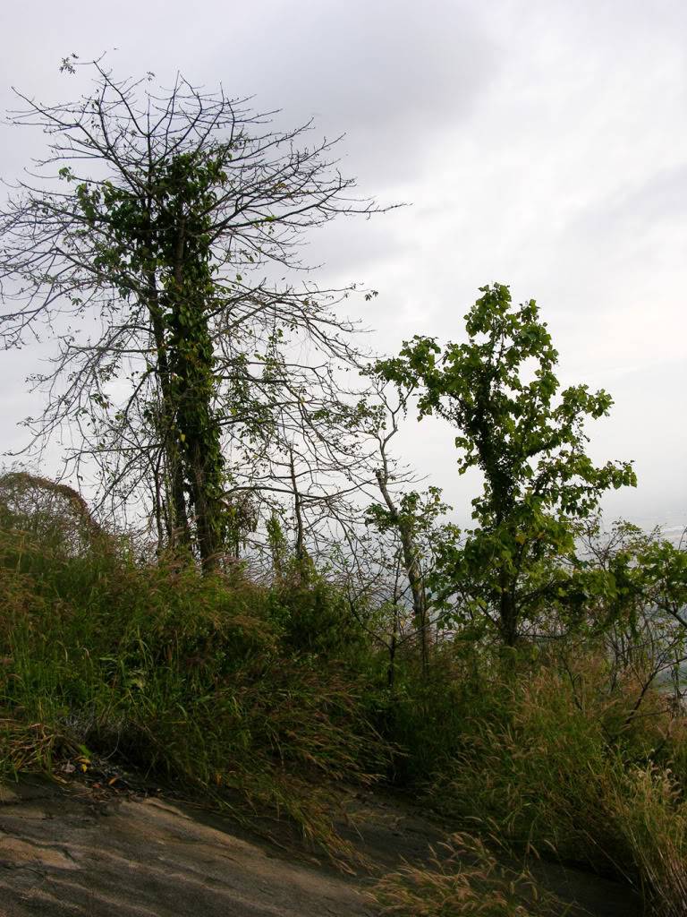 DSCN0231.jpg