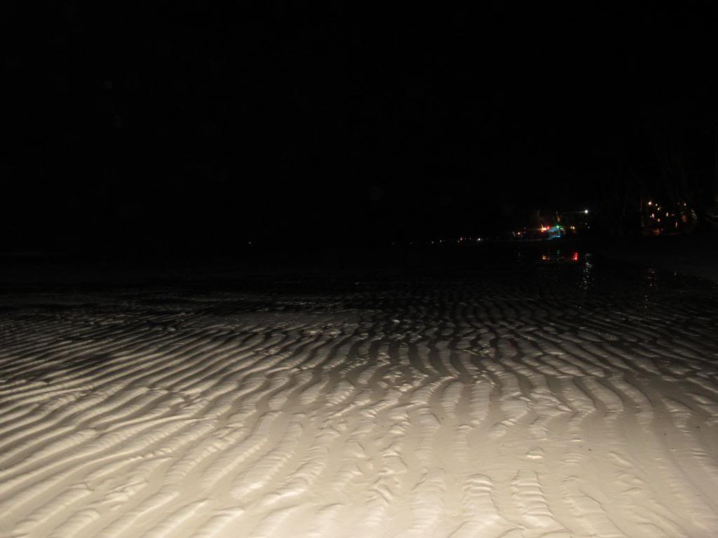IMG_8679_zps76b5af42.jpg