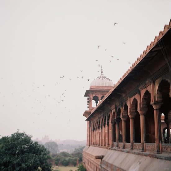 delhi1-02.jpg