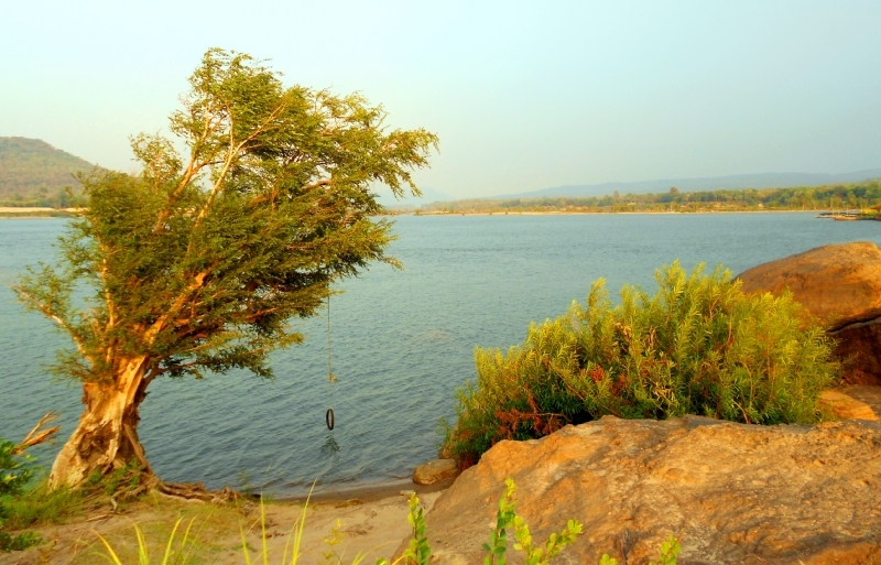 DSCN7725-1.jpg