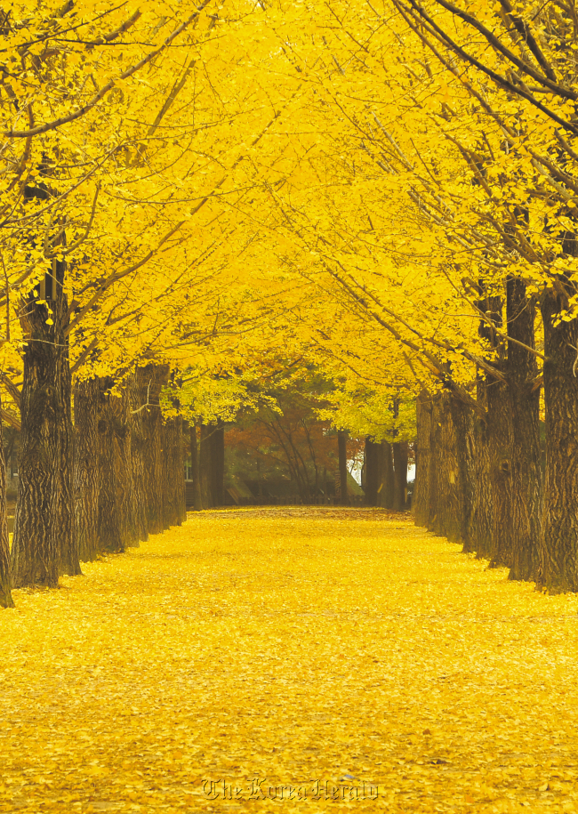 20121031001192_0.jpg