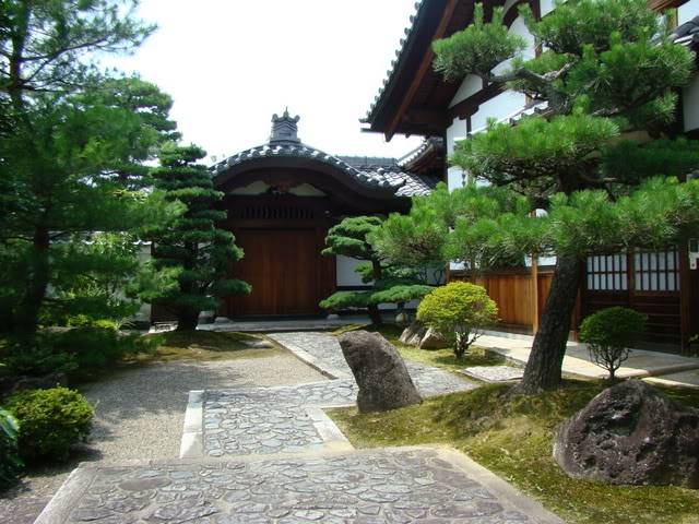 DSC00565.jpg
