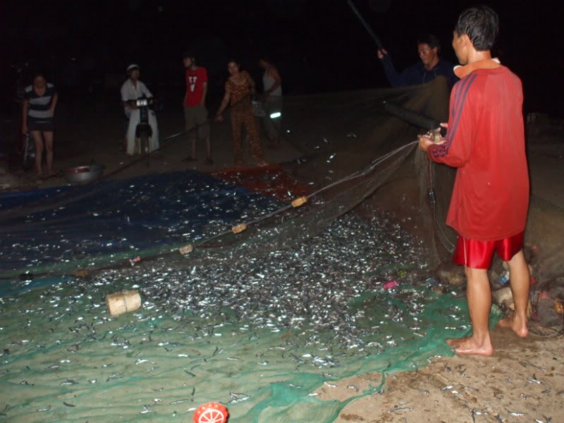 DSCF7154.jpg