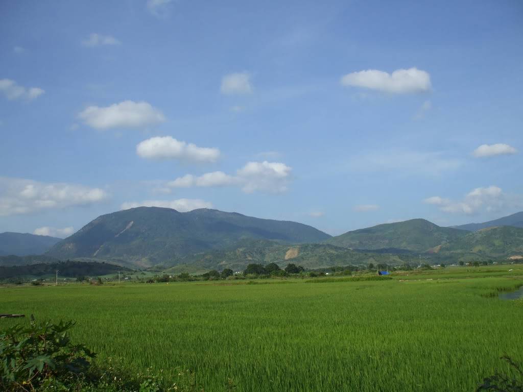 DSCF41871.jpg