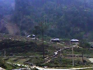 IMG0091A.jpg