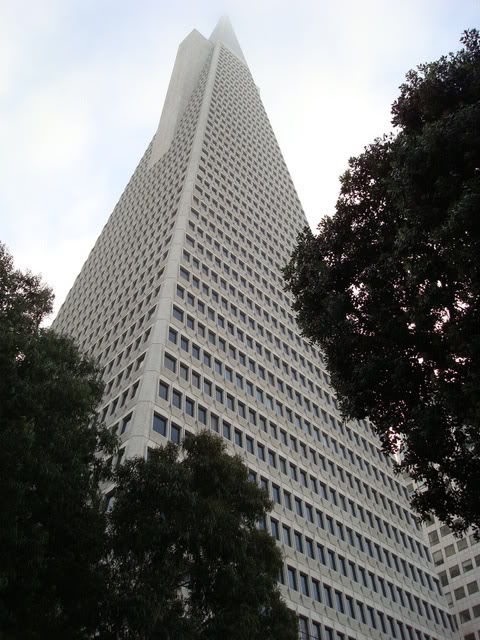 DSC07734.jpg