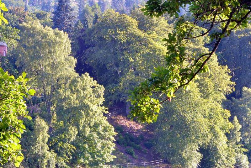 DSC_3073.jpg