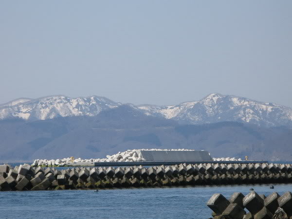 IMG_3627_resize.jpg