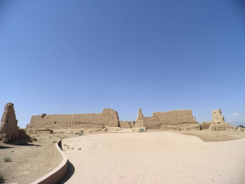 P9011765.jpg