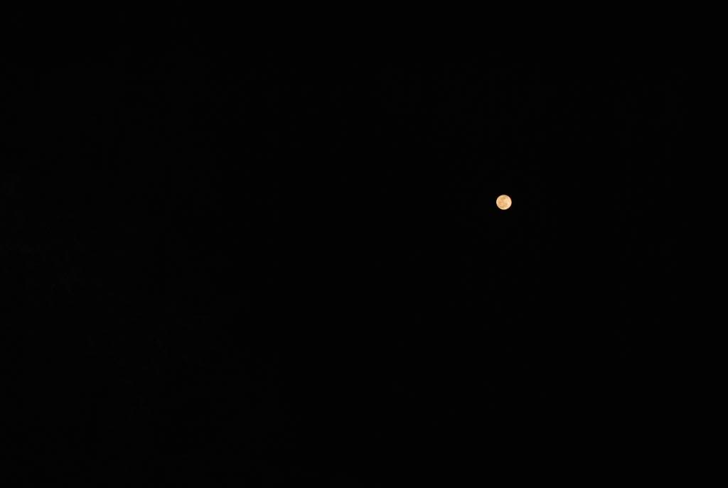 DSC_0817-1.jpg