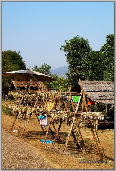Lao_2009_3_0226.jpg