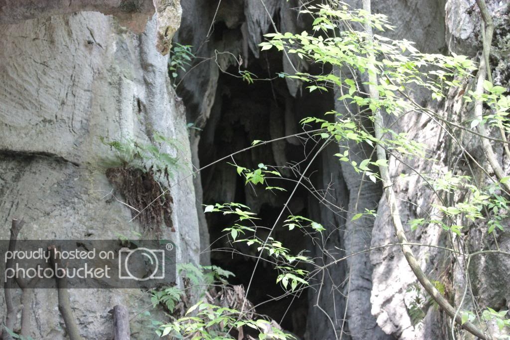 IMG_0029_zps5a262d09.jpg