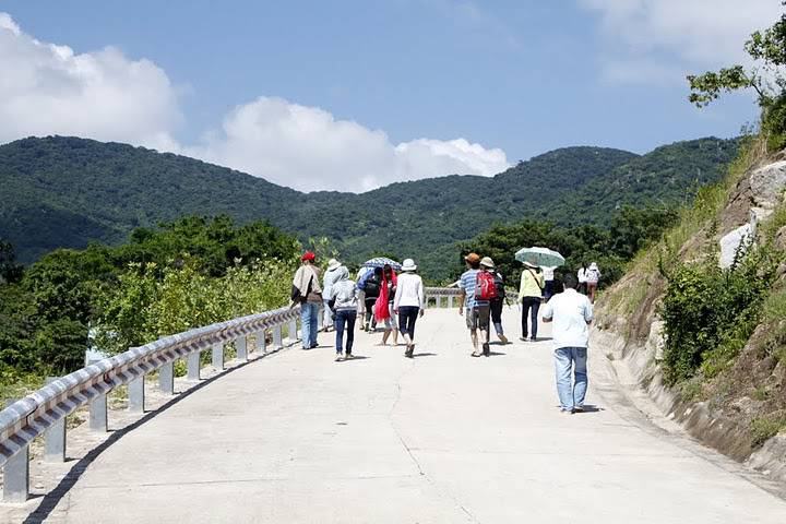 _MG_1536.jpg
