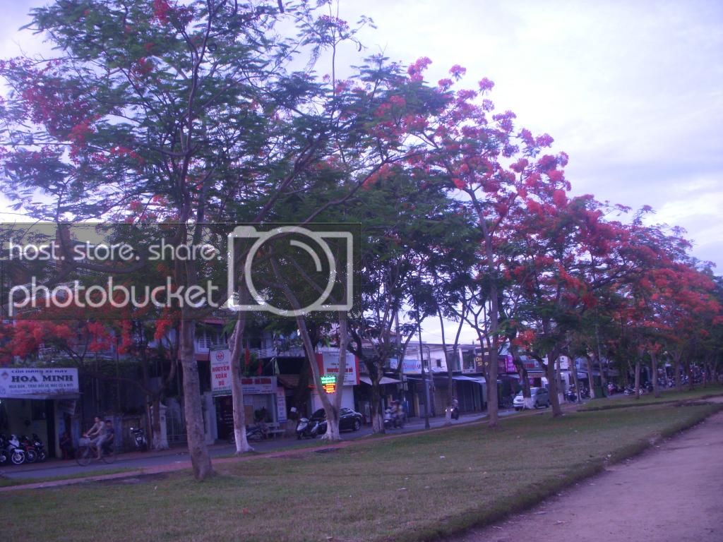 DSCN4902_zps3df0171e.jpg