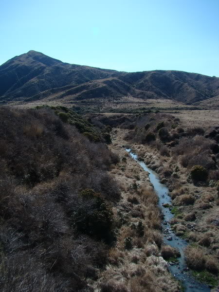 DSC02393_resize.jpg
