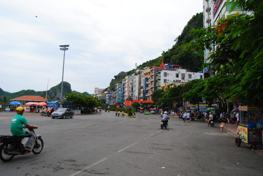 DSC_0041.jpg