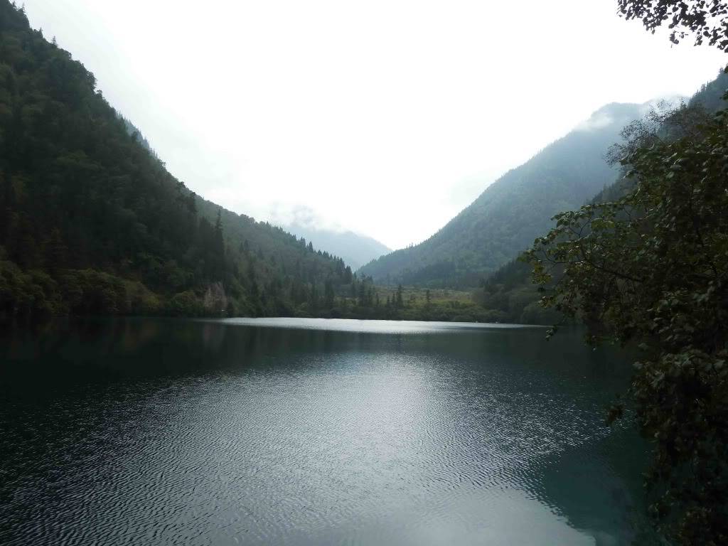 L1040722.jpg