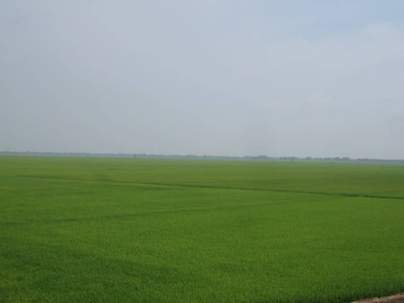 DongThapTET2011438.jpg