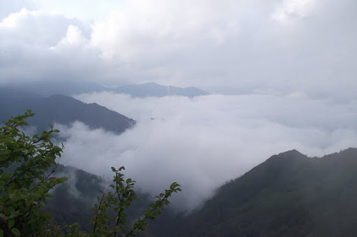DSCF0550.JPG