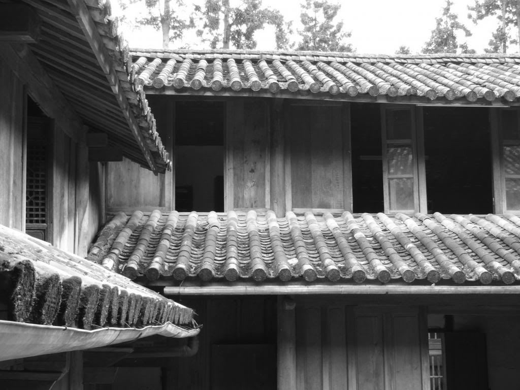 DSC04779_zps599c9901.jpg