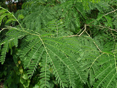 5860105385_2435d36773_m.jpg