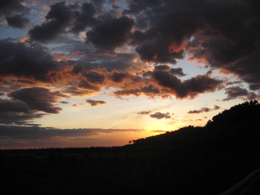 IMG_1685.jpg