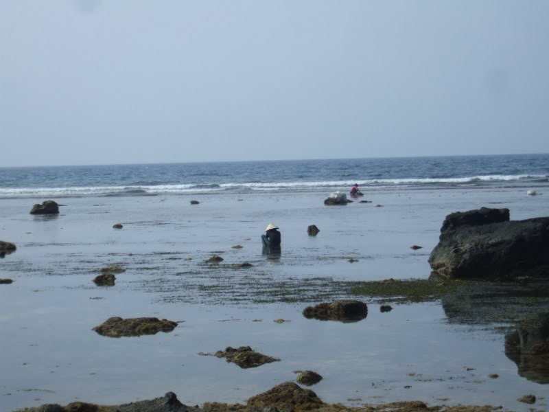 DSCF6779.jpg