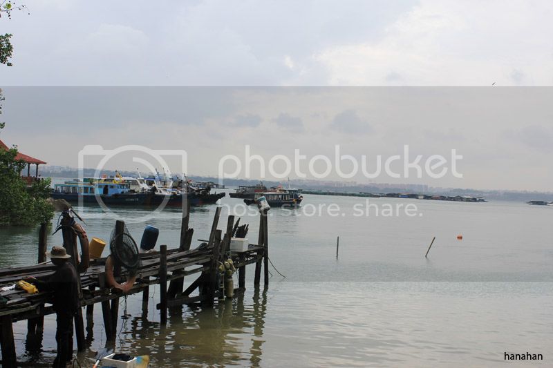 IMG_7733_zps15a0b5f7.jpg