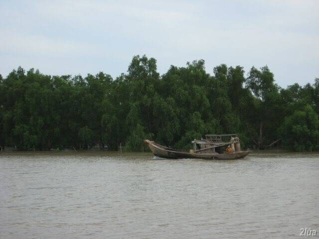 IMG_2438.jpg