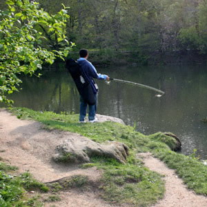 h1.jpg