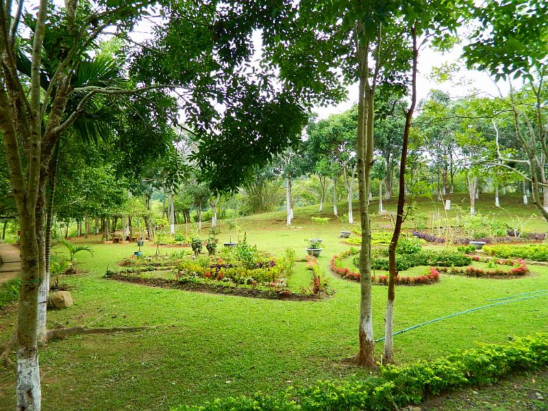DSCN1854.jpg