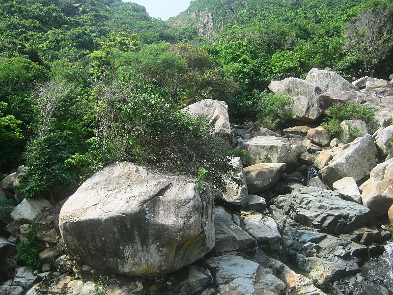 IMG_7838.jpg