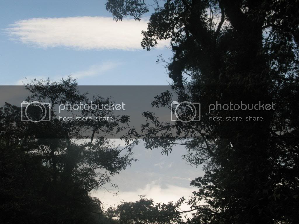 IMG_4124_zps59c20cbc.jpg